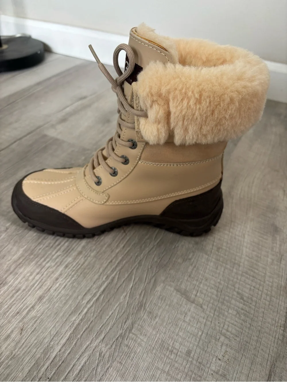 UGG Women’s Adirondack Boot